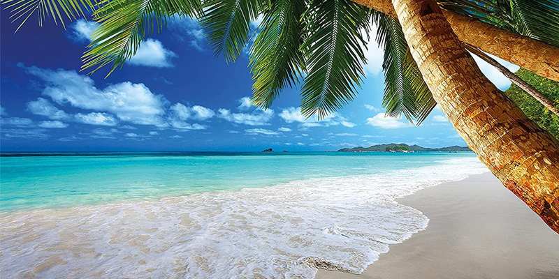 Mơ thấy những sự vật, hiện tượng cũng liên quan các con số