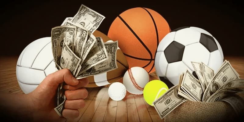 Tổng quát về thể thao 24h